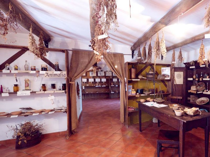 Museo delle Erbe